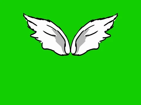 Wings - hand drawn - green screen - animation - SD Vídeo Stock 76042333