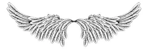 Wings Illustrazione stock