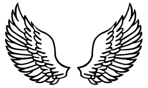 Wings Stock Illustration
