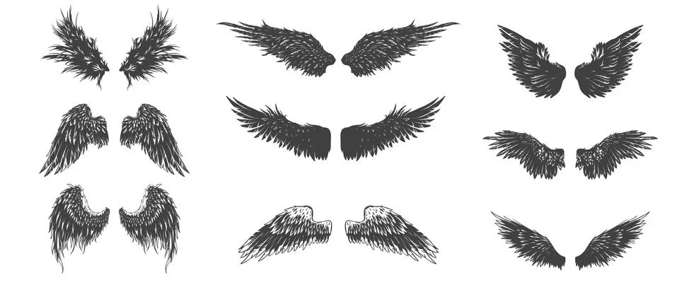 Wings Stock Illustration