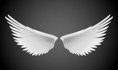 Wings Stock Illustration