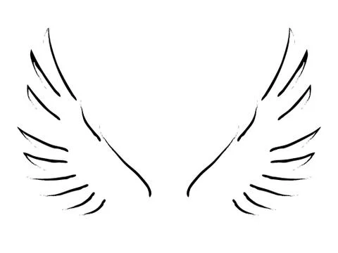 Wings Stock Illustration