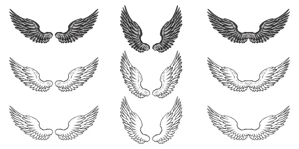 Wings Stock Illustration