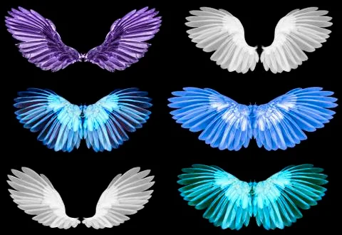 Wings isolated on black backbacground 库存照片