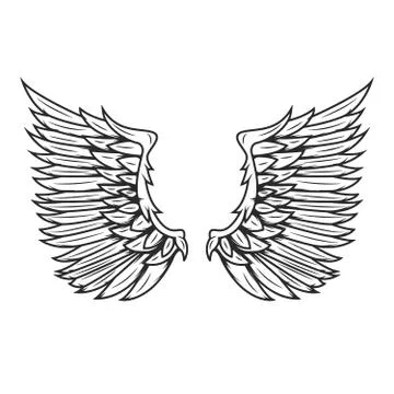 Wings isolated on white background. Design elements for logo, la Illustrazione stock