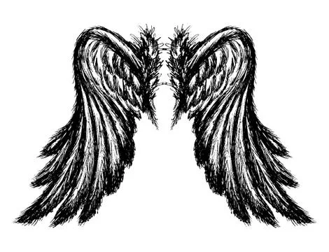 Wings isolated on white background, Stock Illustration