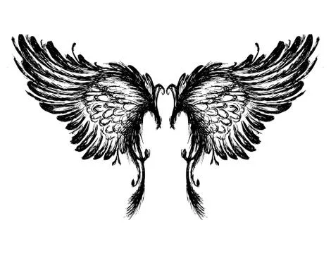 Wings isolated on white background, Stock Illustration