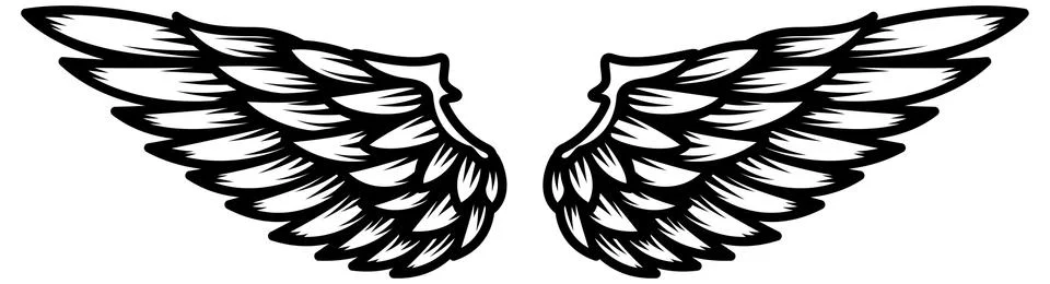 Wings isolated on white background Illustrazione stock