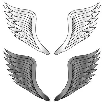 Wings isolated on white background Stock Illustration