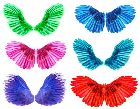 Wings isolated on whitebacground Stockfoto's