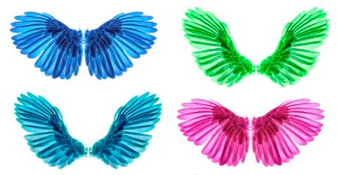 Wings isolated on whitebacground Stockfoto's