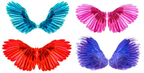 Wings isolated on whitebacground Foto stock