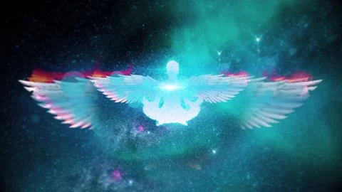 Wings of Light Stock Footage 240008950