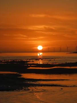 Wings of Light Stock Photos