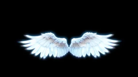 Wings loop animation in 4K resolution Stock Footage 335322717