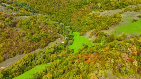 Wings Over Wilderness Stock Footage 306336514