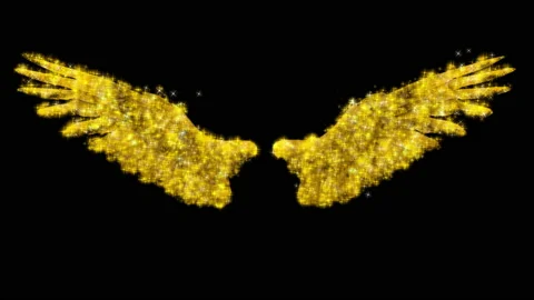 Wings RGB Alpha Stock Footage 234425744