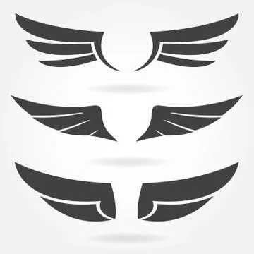 Wings set. Vector illustration of different bird wings. Stock Illustration