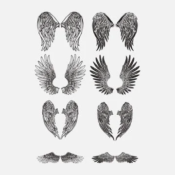 Wings vector design collection Stock Illustration