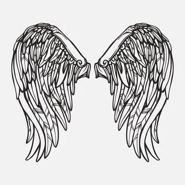 Wings vector design Illustrazione stock