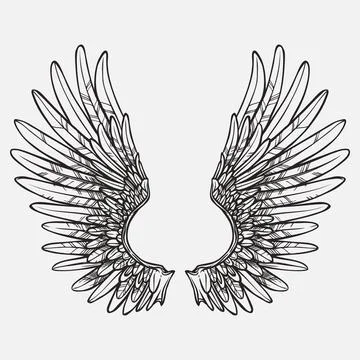 Wings vector design Stock Illustration