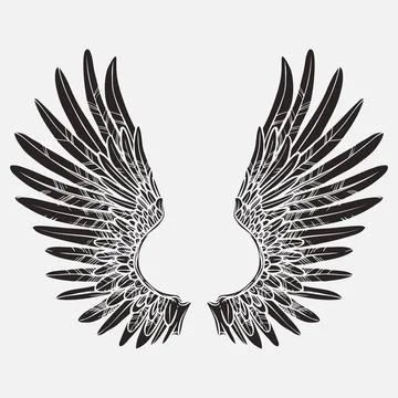 Wings vector design Illustrazione stock
