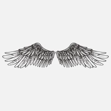 Wings vector design Stock Illustration