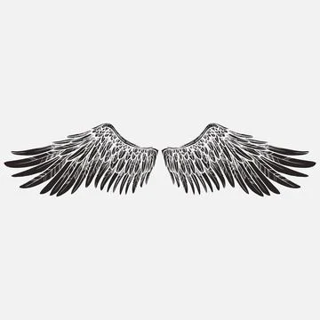 Wings vector design Stock Illustration