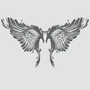 Wings vector illustration. Stock Illustration