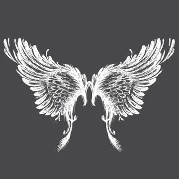 Wings vector illustration Stock Illustration