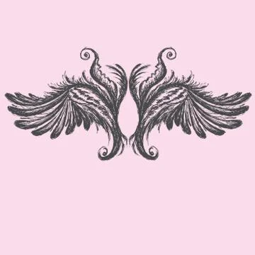 Wings vector illustration. Stock Illustration
