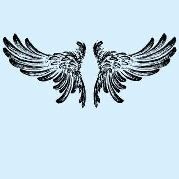 Wings vector illustration Stock Illustration