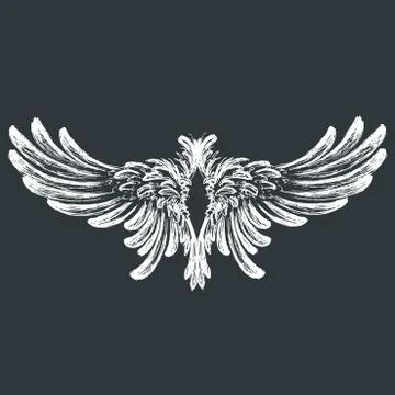 Wings vector illustration Stock Illustration