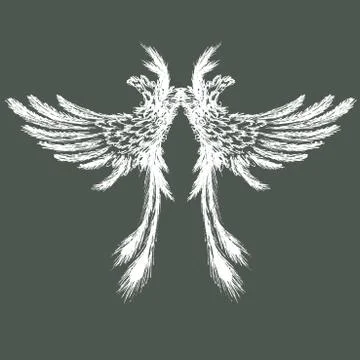 Wings vector illustration Illustrazione stock