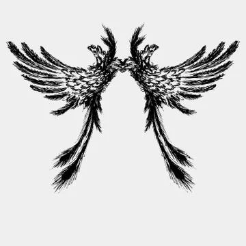 Wings vector illustration Stock Illustration