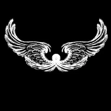 Wings vector illustration Stock Illustration