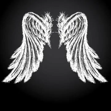 Wings vector illustration Stock Illustration