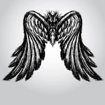 Wings vector illustration Stock-Illustration