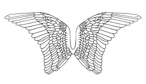 Wings. Vector illustration on white background. Black and white style Ilustração Stock