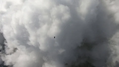 Wingsuit skydiving Vidéo 103250980