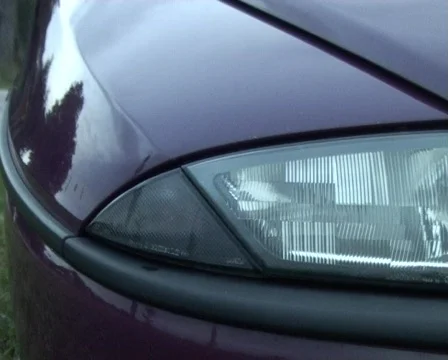 Winker, front Vídeo Stock 62780