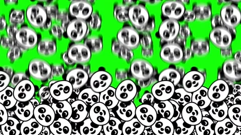 Winking panda face emojis falling animation on green screen transition Stock Footage 313860220