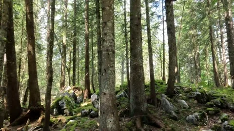 Winklmoosalm Bavaria Stock Footage 201836448