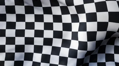 WINNER! A checkered flag waving in the wind Stock Footage 80216945