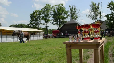 Winner cups and farmer man master show saddle heavy horse Stock Footage 33476369