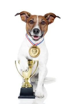 Winner dog Stock Illustration