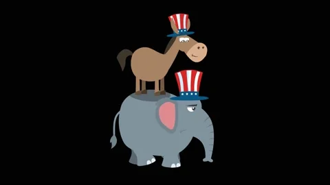 Winner Donkey Democrat On The Back Of Th... | Stock Video | Pond5