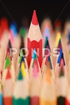 Winner Stock Photos