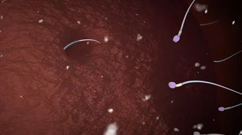 Winner sperm Vidéo 918067