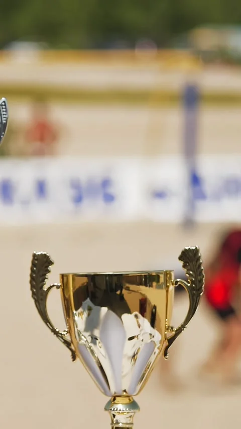 The winner's cup. gold cups. close-up. background blurred. team ball game, at Stock Footage 319292256